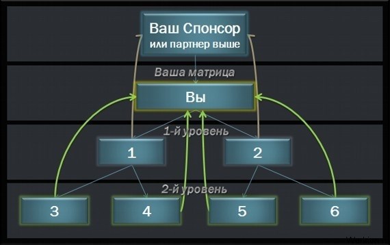 Экономические пирамиды в интернете действительно платят